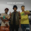 Show Me Different (feat. Woodboy Gee)(Explicit)