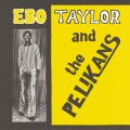 Ebo Taylor、The Pelikans - Reality