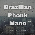 Bull Beats - Brazilian Phonk Mano (Slowed)(Remix)