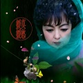莫愁媛媛 - 雨泪(舞曲版对唱)