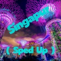 Gz Music - Singapur (Remix)