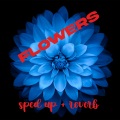 Gz Music - Flowers (Remix)