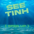Gz Music - See Tinh (Remix)