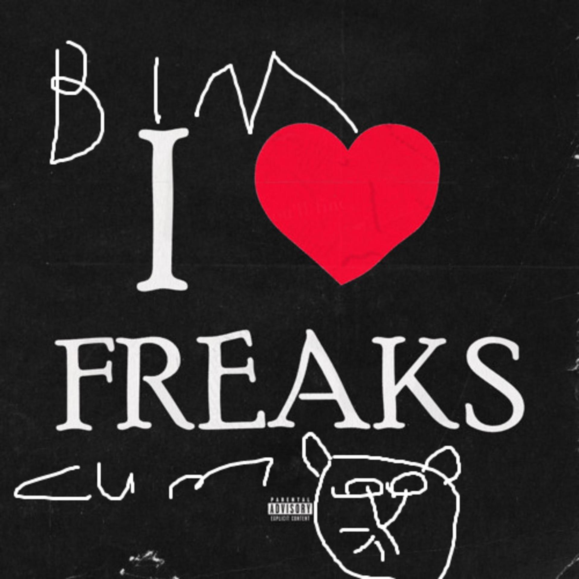 midwxst、CardingFraud - i love freaks (Explicit)