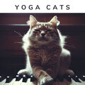 Yoga Cats