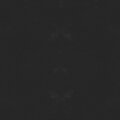 Apollon - In$ane! (Explicit)