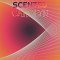 Beon Koco - Amend Semiotics