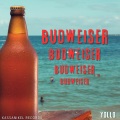 Yollo - Budweiser