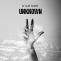 Dj Alan Kasmir - Missing