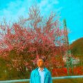 Selim - Dimes (Explicit)