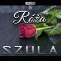 SZULA - Róża