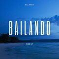 Bull Beats - Bailando (Sped Up)(Remix)