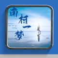 苑舍 - 南柯一梦 (剧情版)