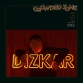 地磁卡Dizkar、王以太 - Crowded Zone