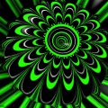Wild Cherry、Bradley Eastman、Brandon Gladden、Sarah Beno Gloe、B B Glo、Alien Boy $、Brandon B Gloe、Brett Rockefeller - Lets Rock Lets Roll