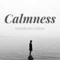 Calmness、Pleasure - The wake up