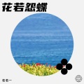 若若一 - 夜雨寄北