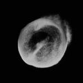 Son Lux、Kishi Bashi - Alternate World (Alternate Life)