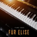 Fur Elise (German Grand Piano)