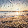OFF - Beach