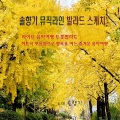 솔향기 - 밤안개