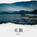铭子归 - 无数