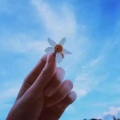 米果卷 - 原来我的爱从不重要