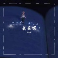 苏枫琛 - 我在呢