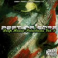 Deep House Selections, Vol. 5