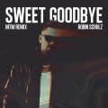 Sweet Goodbye (MTM Phonk Mix|Explicit)