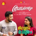 vidhuprathap、Joel Johns、Titto P Thankachen、Mridula Warrier - Midhunam Madhuram (From 