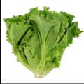 KadeSwitchblade、Khyyso - Ohhh Green Lettuce (feat. Khyyso)(Explicit)