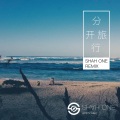 SHAH ONE - 刘若英-分开旅行 (SHAH ONE remix)