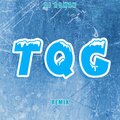 dj roman - TQG (Remix)