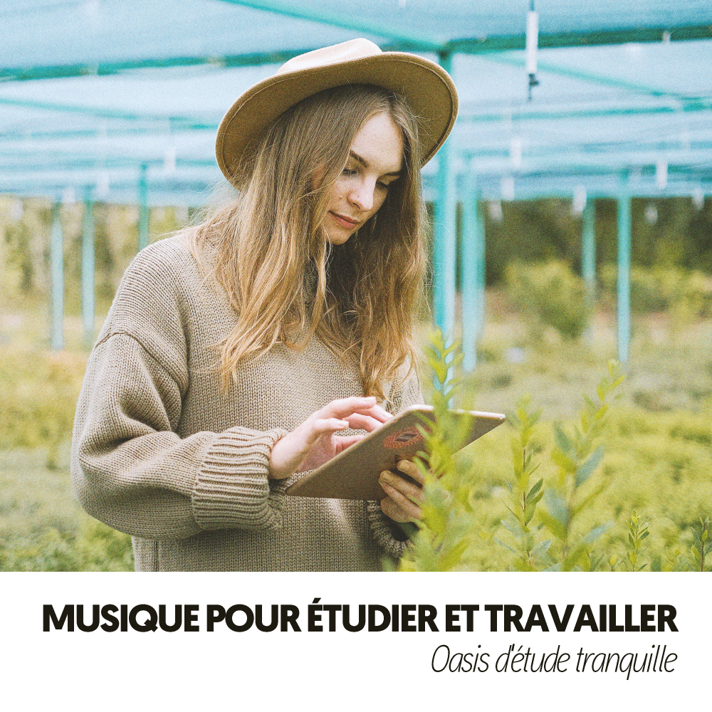 Ruido Blanco Hart、Travail Bureau France、Sleep Alpha Waves - Musique mentale