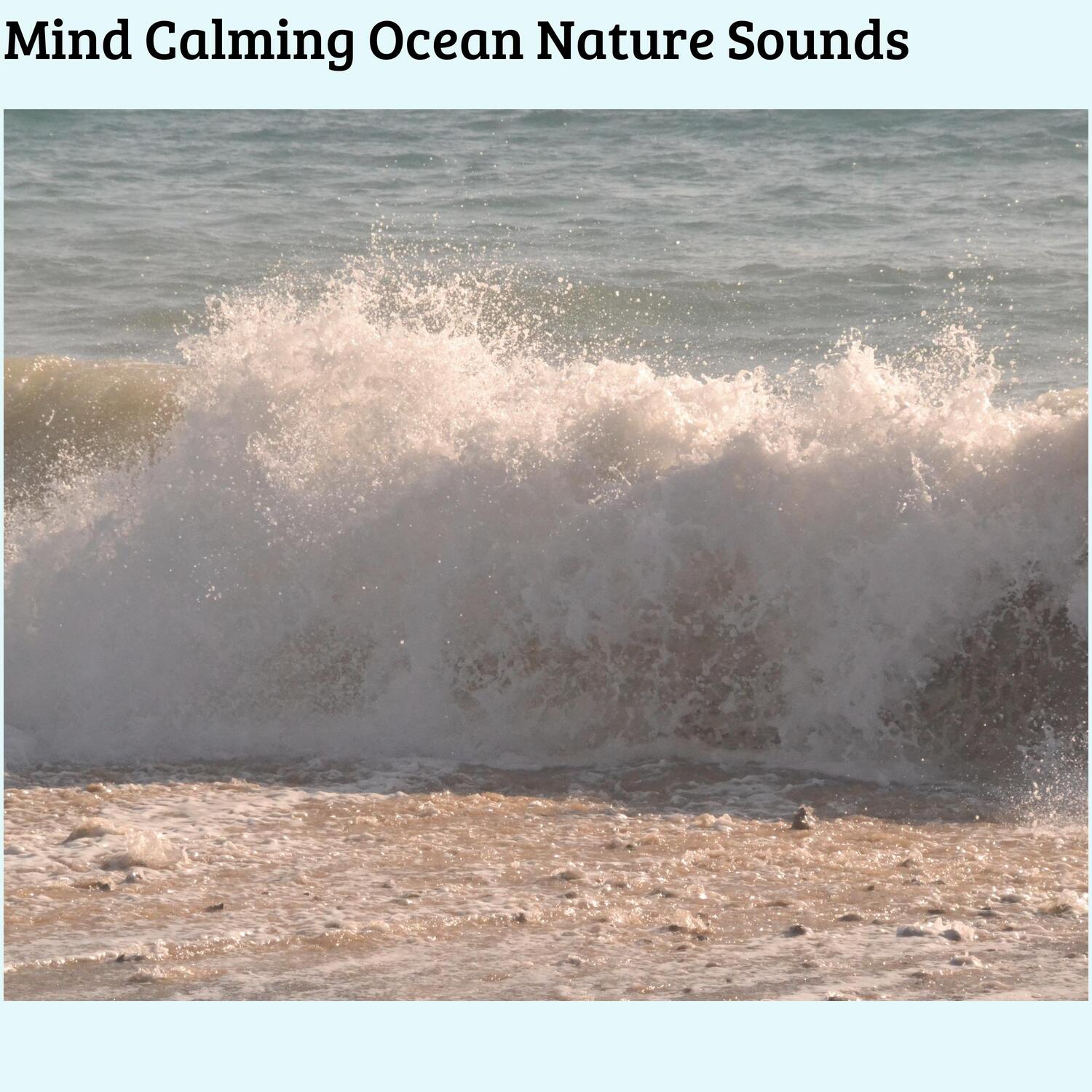 Mind Calming Ocean Nature Sounds