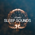 Calming Sleep Sounds