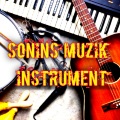 Sonins muzik - cad