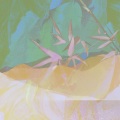 易歌 - 青火