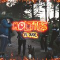 TB Dude - Moltres