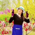 云中的花朵 - 凝望 (Live)