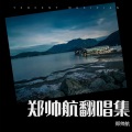 郑帅航 - 雾里