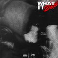 SJ - WHAT IT DO? (Explicit)