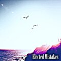 Richard Robbins - Elected Mistakes