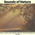 Sounds of Nature - Birds, Insects and Crickets in Scenic Forest Atmospheres, Vol. 08