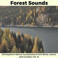 Oliver Schulz - Strange Evening Forest