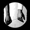 ARAUJIA - Looks of Pity