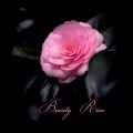Mikedd、Sparklehorse、M. Ward、fruit bats - Beauty Rose (feat. Sparklehorse M. Ward & Fruit Bats)