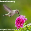Anastasia Natura Music - Gentle Breeze and Owl Melodies