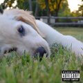 Jeffrey - My Dawg